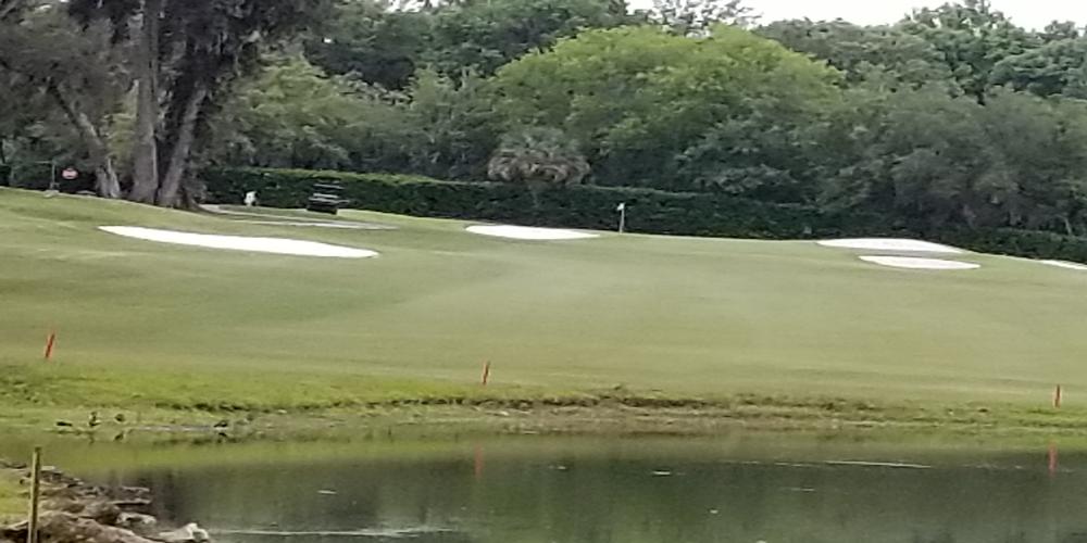 Not An Easy Par 3